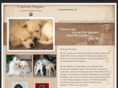 coloradopuppies.com