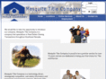 mesquitetitle.com