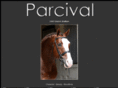 parcivalonline.com