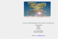 wisdomafrika.com