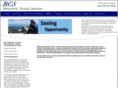 bcsgj.com