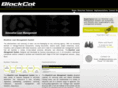 blackcatloans.com