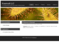 kowmudi.com