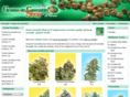 graine-cannabis-shop.com