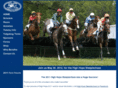 highhopesteeplechase.com