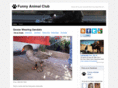 funnyanimalclub.com