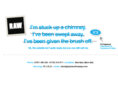 plymouthchimneysweep.com