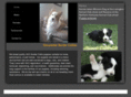gloucesterbordercollies.com