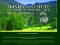 trinity-institute.com