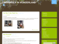 cinderellainwonderland.com