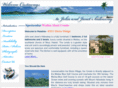 jjcastaway.com