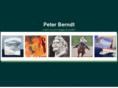 peterberndtfineart.com