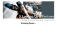 pigmentsandpantones.com