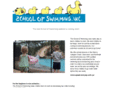schoolofswimming.com
