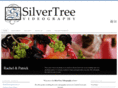 silvertreeaustin.com