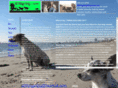 allthingsdogandcat.com