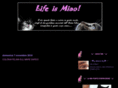animafelinablog.com