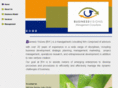 bizvis.com