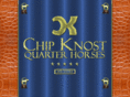 chipknost.com