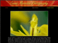 conniemorrison.com