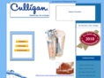 culliganquebec.com