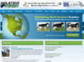 holsteinplaza.com