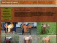 smithleatherandsaddlery.com