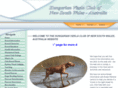 vizsla.org.au