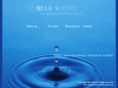 bluewatertechnicalservices.com