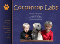 cottontoplabs.com