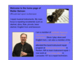 wdeinzer.com