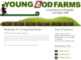 youngsodfarms.com