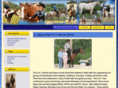 3in1horseshow.com