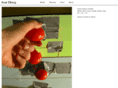 anatelberg.com