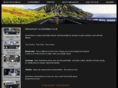 dreamfleet.com