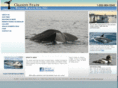 granitestatewhalewatch.com