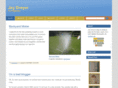 jaydreyer.com