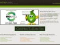 planocarpetcleaners.net
