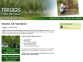 triggstreeservice.com