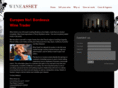 wineasset.com