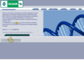 bccsoar.it