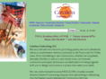 catalinacontracting.com