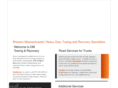 dmtowing.com