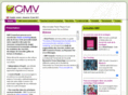 gmv-conseil.fr