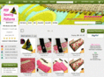 pdfsewingpatterns.com