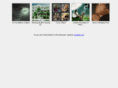 quemo.net