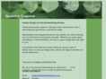 sparklingelegance.com