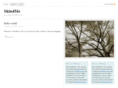 themesforthesis.com