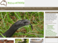 workingwithwildlife.com.au