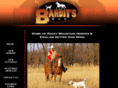 banditsrun.com